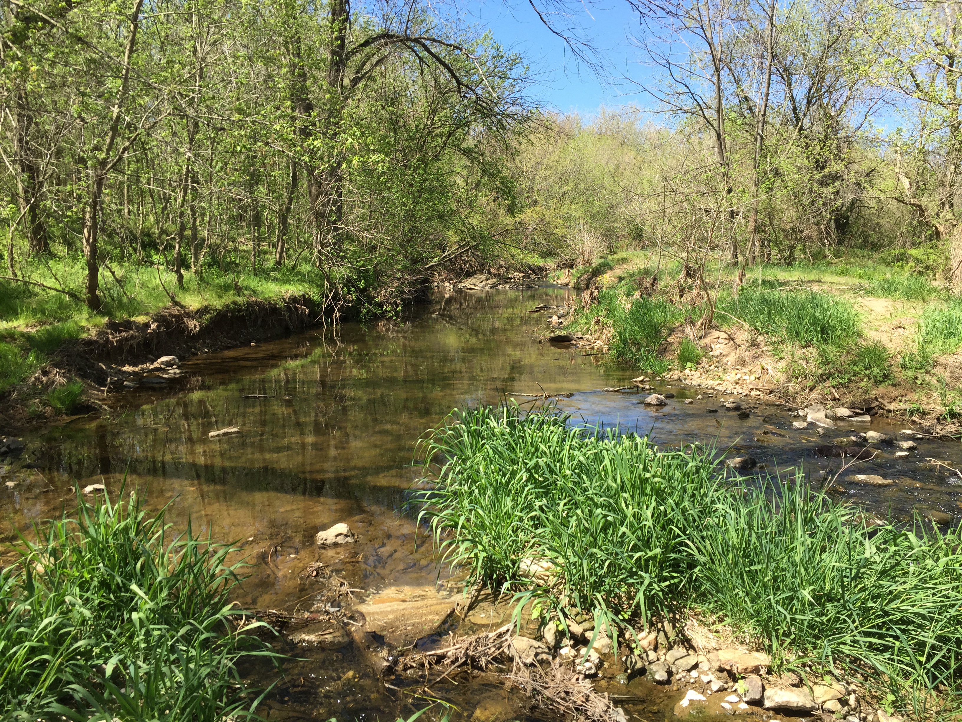 Field photo showing stream conditions at site PRFR-201-X-2016_midpoint upstream